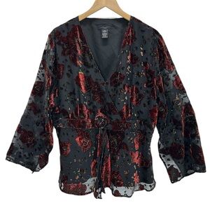 Anne Carson Whimsigoth Dark Fairy Burnout Velvet Surplice Babydoll Top Y2K 22/24